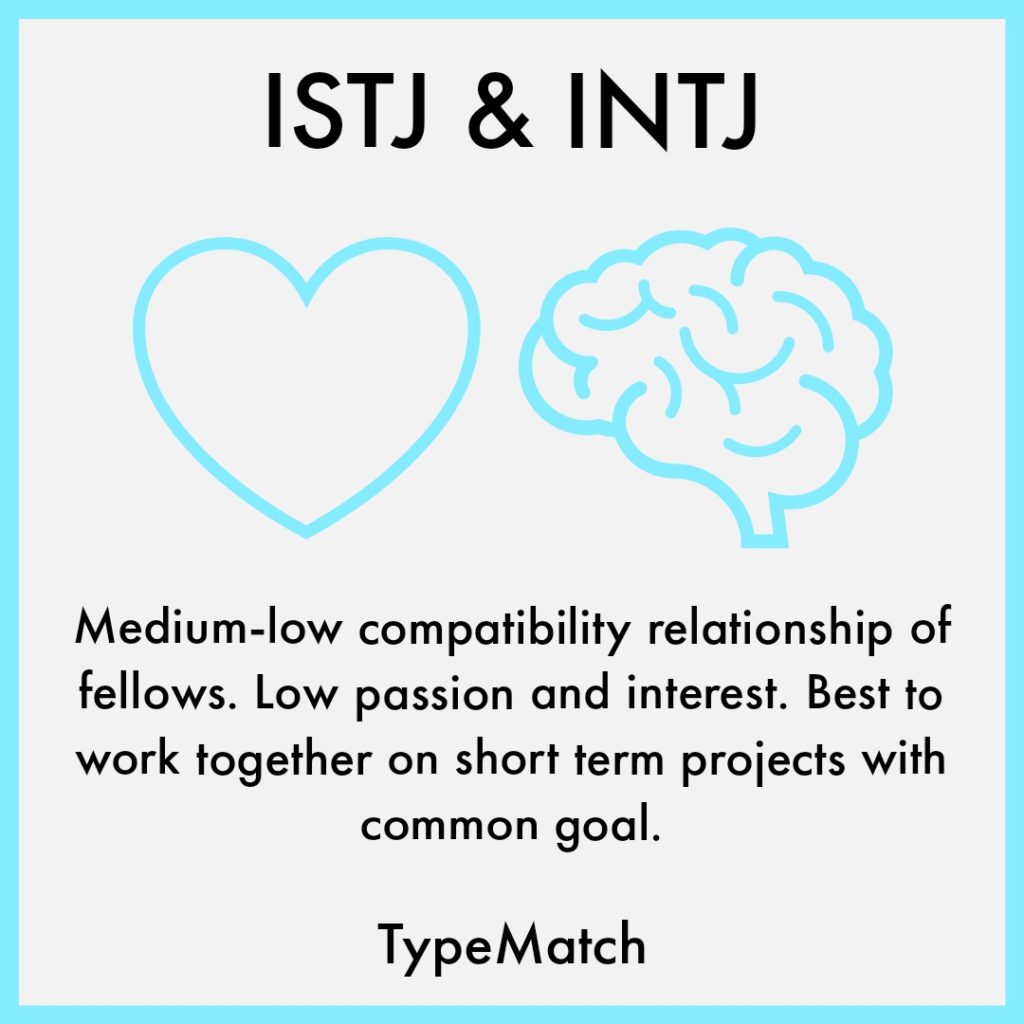 Intj And Istj Relationship Typematch