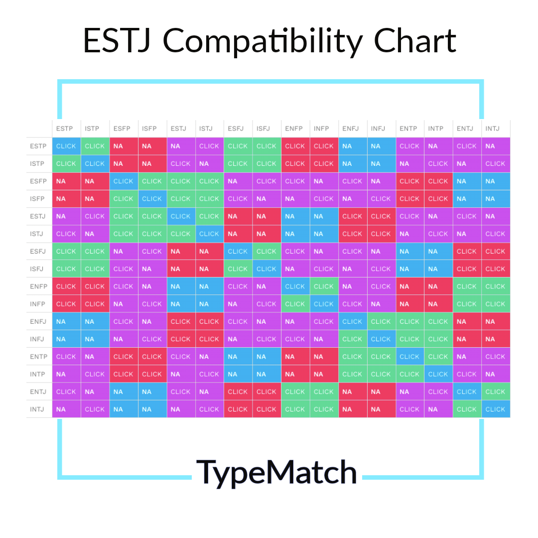 Ylva MBTI Personality Type: ESTJ or ESTP?