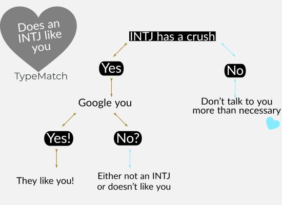 INTJ crush